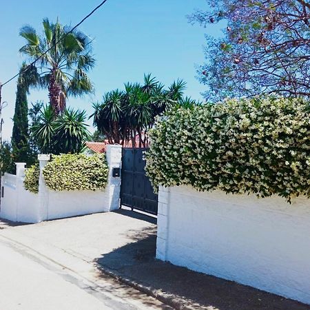 Las Palmeras Alberic Exterior foto