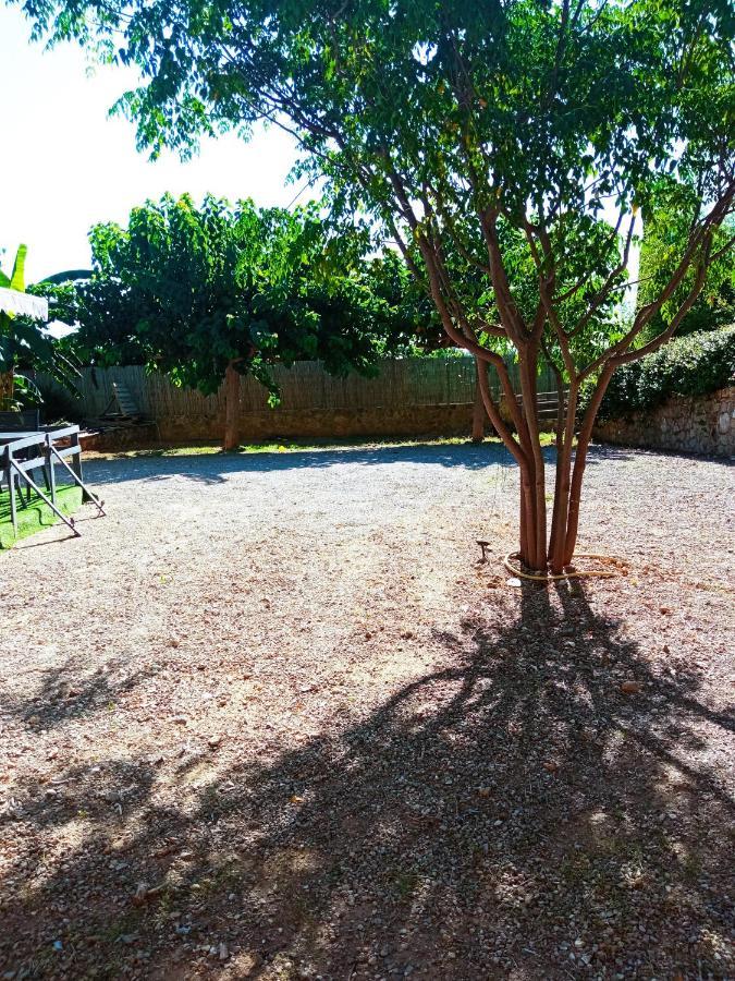 Las Palmeras Alberic Exterior foto