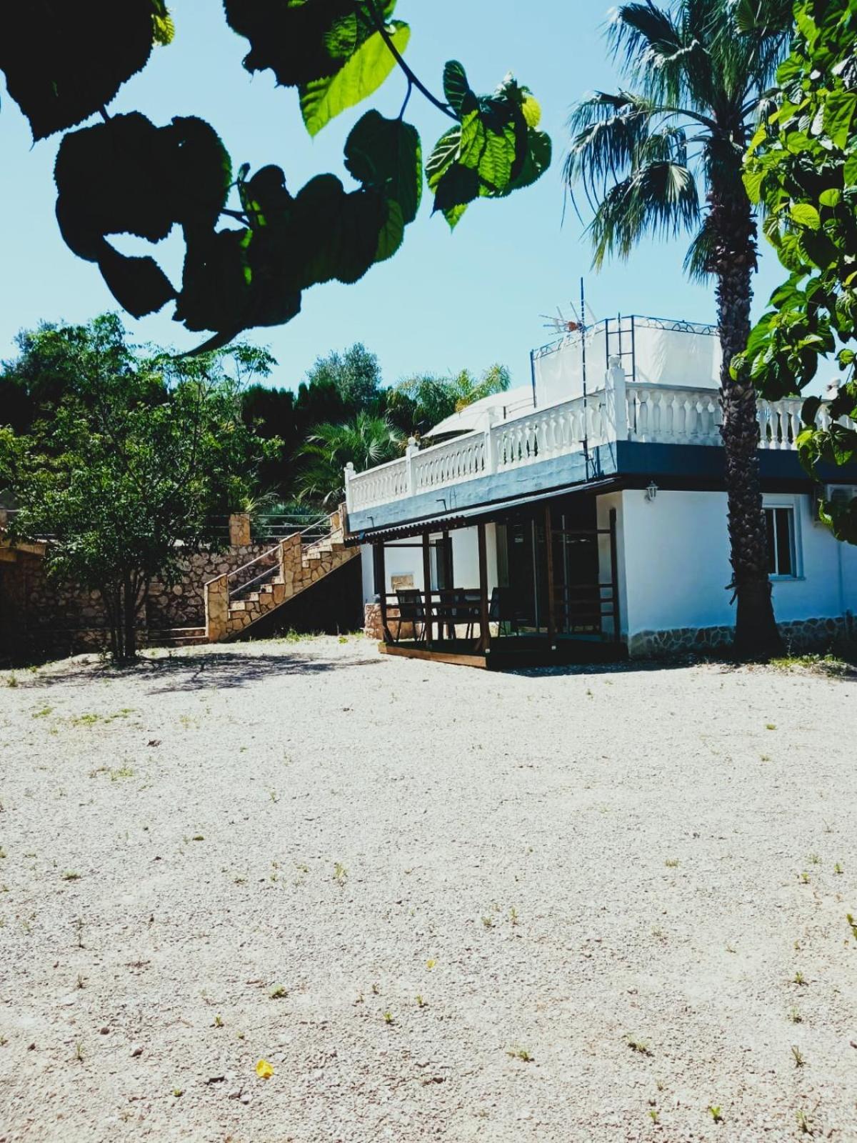 Las Palmeras Alberic Exterior foto